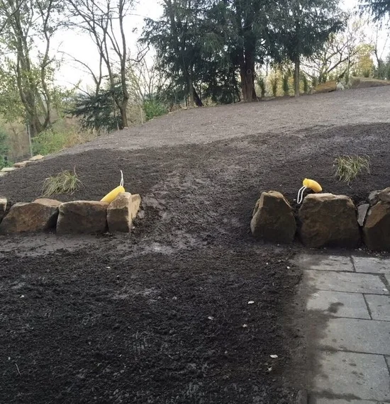 Baggerarbeiten Anlegen von Rasenflächen